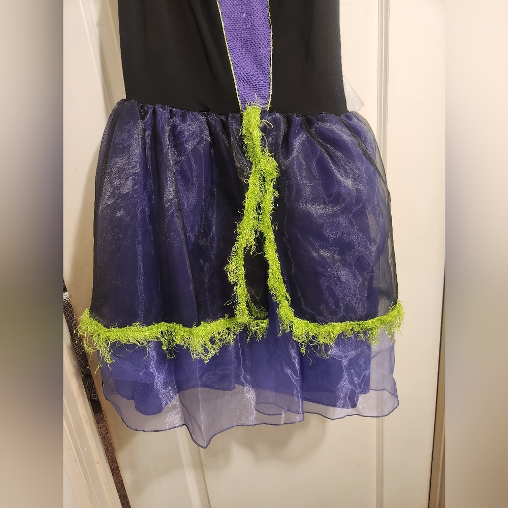 Disney costume